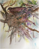 Byrnes-Julia-Morning-Dove-1