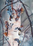 DillonC-202105-ColorfulBirch-prints.to_.order_
