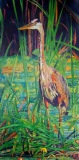 DillonC-202105-GreatBlueHeron.canvas-12x24-650
