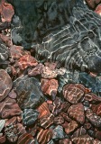 DillonC-202105-RocksII-14x20-1250