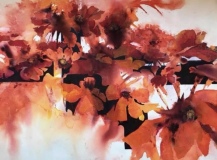 DownsMB-2021-Poppies