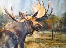 Anderson_K_2020_Moose