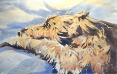 Bloom-202001-Baby-Wolfhound
