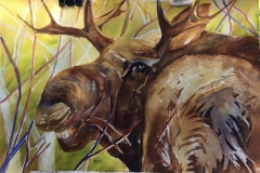 Bloom-202003-Moose