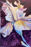 bloom-K-202215-Flower-Iris