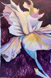 bloom-K-202215-Flower-Iris