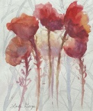 Spirited Poppies