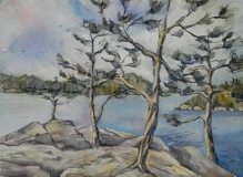 Pines at Trails End Campground, Gunflint Trail