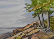 Three Cedars at Sugarloaf Cove
