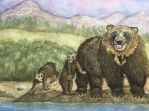 MillerM-202103-Katmai-Bears-watercolor-16-x-20-350