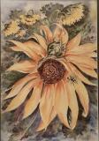 Patricia Olson Garden Tour Sunflower14-x-20-