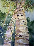 PetersenM-2015-BeJeweled-Birch-22x30-For-Sale-