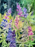 PetersenM-2022-Lupine-in-the-Ditch-9x12-For-Sale