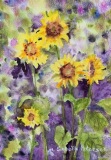 PetersenM-2022-SunflowersforKaren6x8NFS
