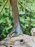 PetersonM-2022-Hanging-On-Tight-9x12