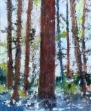RauschenfelsS-202102-Cedars-Glory-15x20-matted-and-framed-250