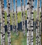BolosS-2020-2-Large-Birch-Trees-Series-612