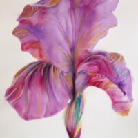 Kay Bloom