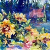 Sunflowers at Gardeners cottage-Glensheen