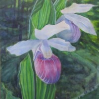 Lady Slippers